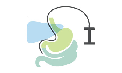 Logo ISSE